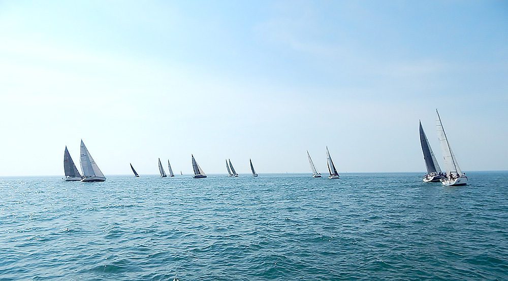 sailboats racing away